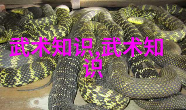 古武之谜探秘江湖中的内功外功