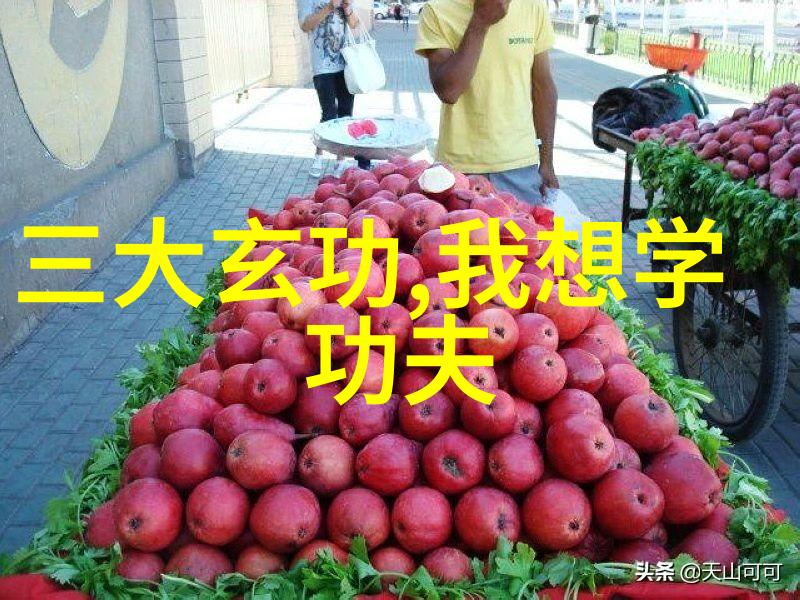 康比特i健身自然中的科学饮食助手
