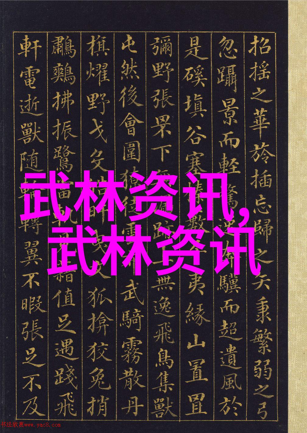 太极拳24式全解掌握古老内功术的精髓
