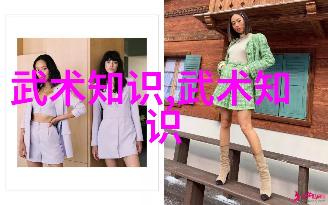 武林人物-江湖风云录武林中人的兴衰与变迁