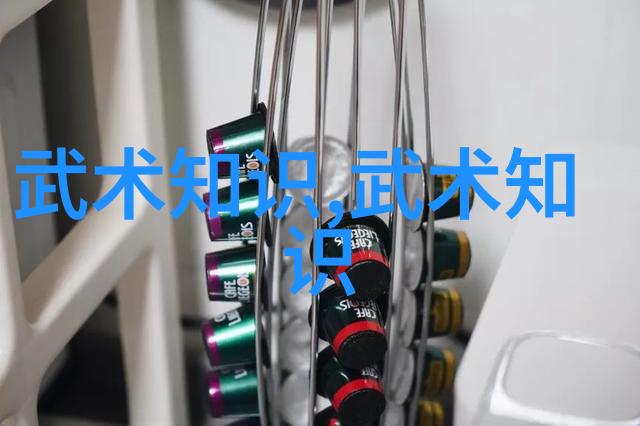 超凡入圣剖析碧血剑系列中奇门遁甲与太极拳之争霸江湖