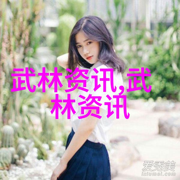 从经典到创新深度分析中国十大代表性武术