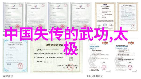 中国体系最庞大的武术门派我亲历的华山派武林中的那抹深邃