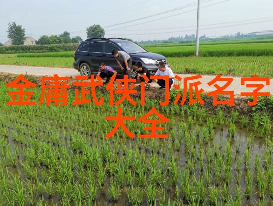 中国跳水梦之队第二梯队的荣耀犹如夜空中最亮的星辰在大奖赛中闪耀着6颗金色的光芒