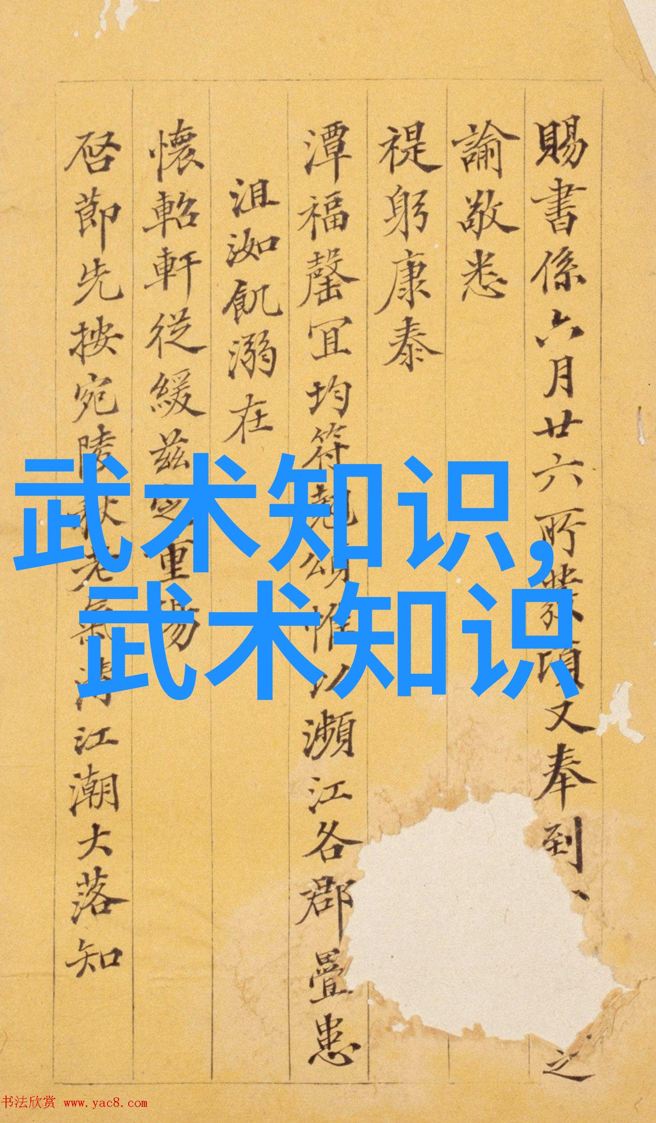 李文奎与李艺蕾揭秘中国武术秘籍书太极拳的力与技在自然之中绽放