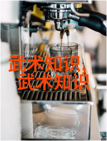 武术自学之道掌握基本功的秘诀与技巧