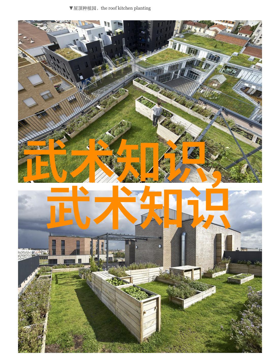 谈谈武术训练中的辅助训练-武崇玉
