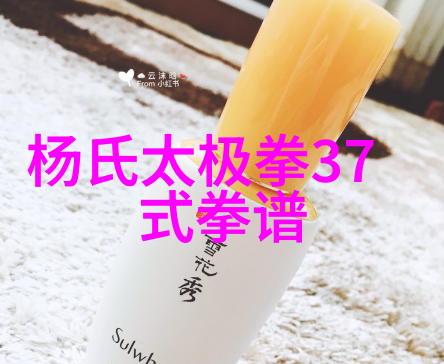 咏春拳法师傅谈艺发烧传承与创新之间的辩证关系