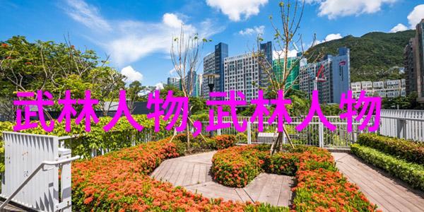 影视展现下的武侠梦想观察电影中的南北派风采