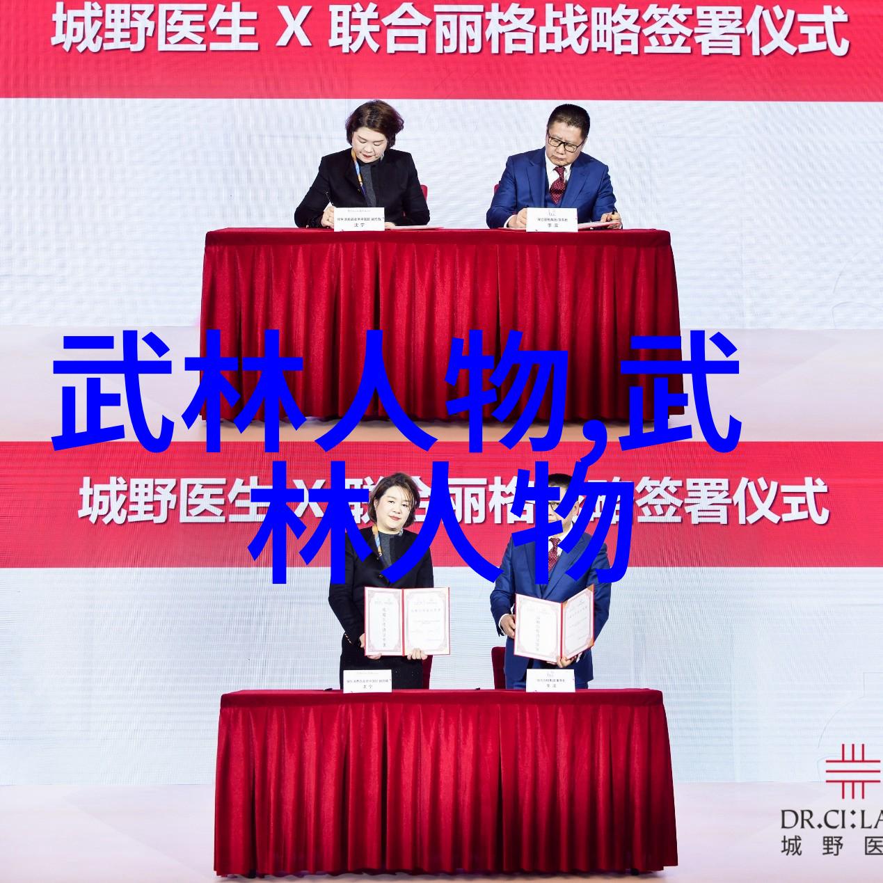 武林16大门派秘籍解密内功合一攻略全集