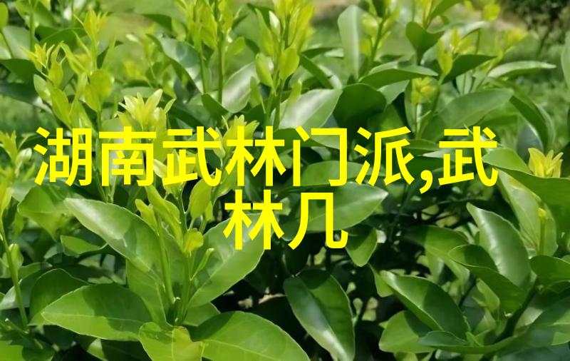 霸道风云揭秘那些让人一听就知其威严的帮派名称