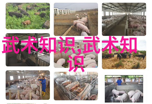 内功寻源秘诀