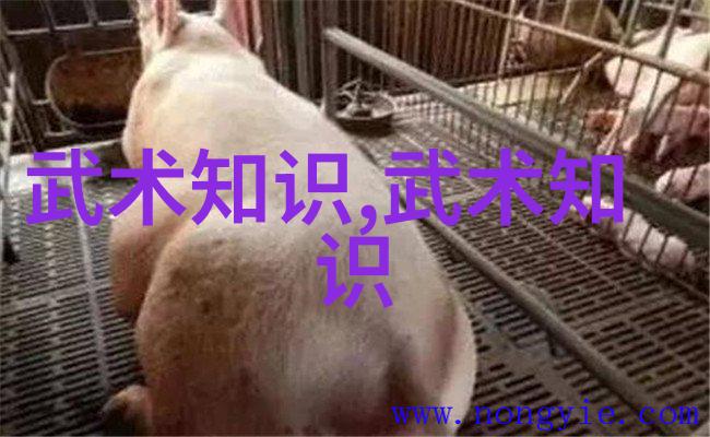 暗流涌动 当一个帮助他人的团体被迫面对外界敌意时他们是如何坚持住他们那份震撼世界的声音和形象