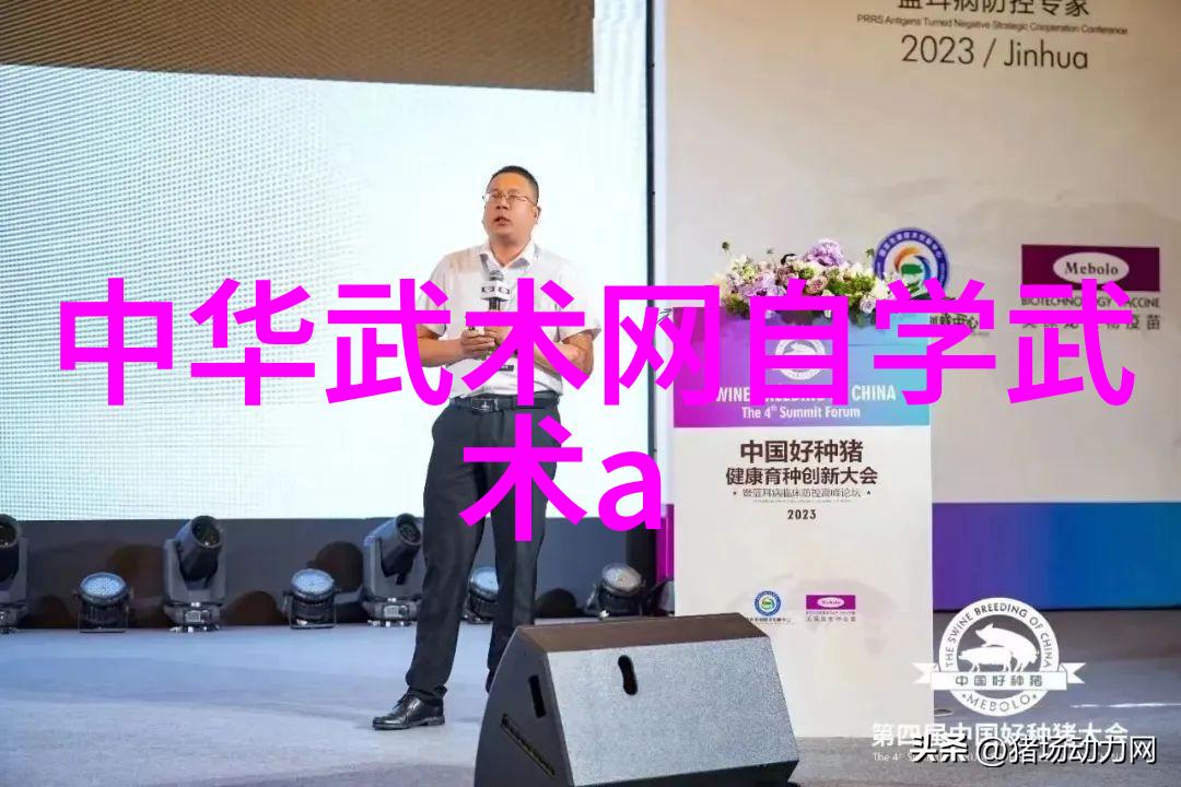 太极功夫秘籍我亲自悟到的那一套简单易学的太极拳招式