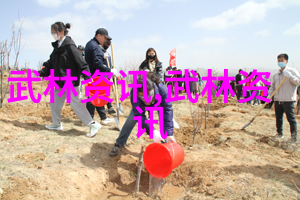 轻功之谜影踪追逐