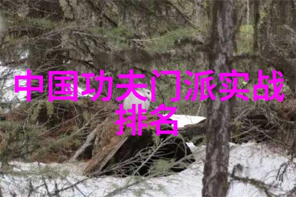 练轻功最快的方法我告诉你一个秘密