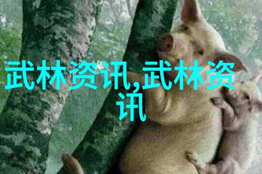 秘籍大全从古老功夫传承到现代武术奇迹