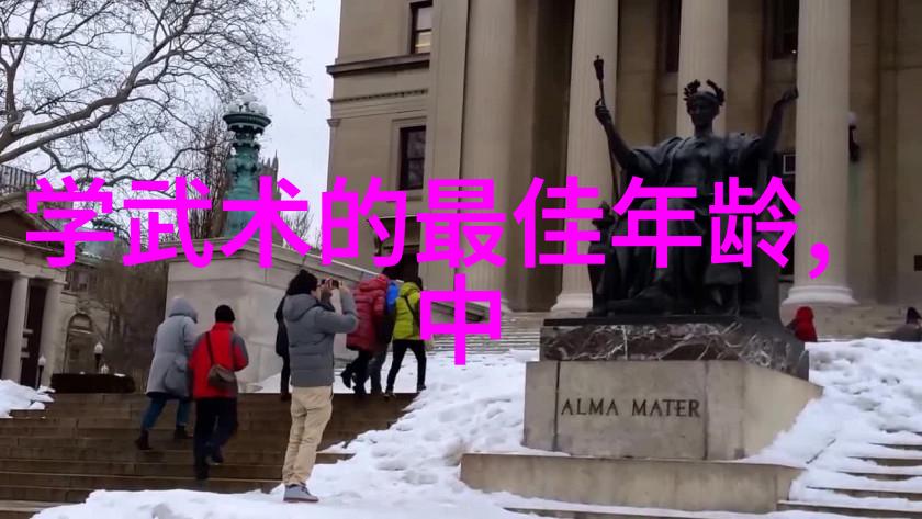 探索中国拳法的多样性揭秘传统武术的丰富风格