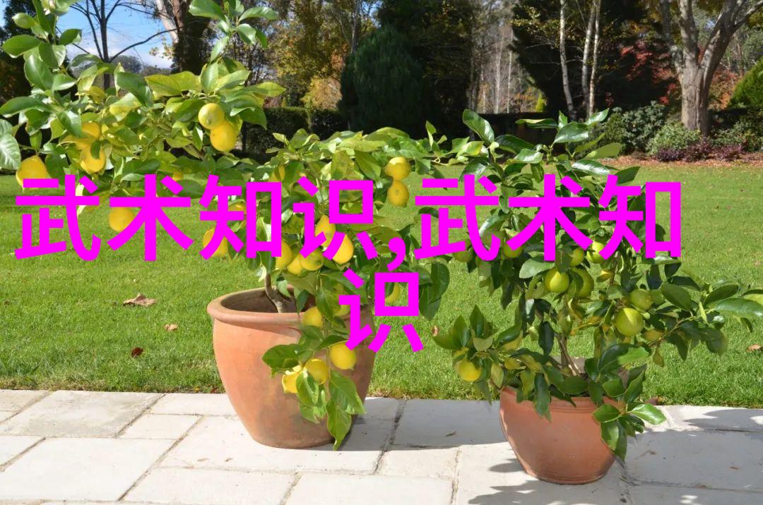 四字高雅不俗的游戏名 - 天下霸唱探秘古典风格游戏世界