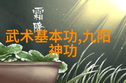 风云联盟古韵拳影何氏弹腿秘籍