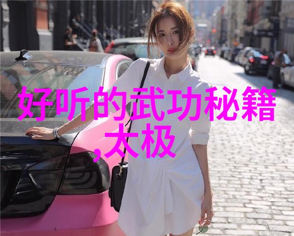杜子宇探讨李派太极拳武功与武术在社会中的区别