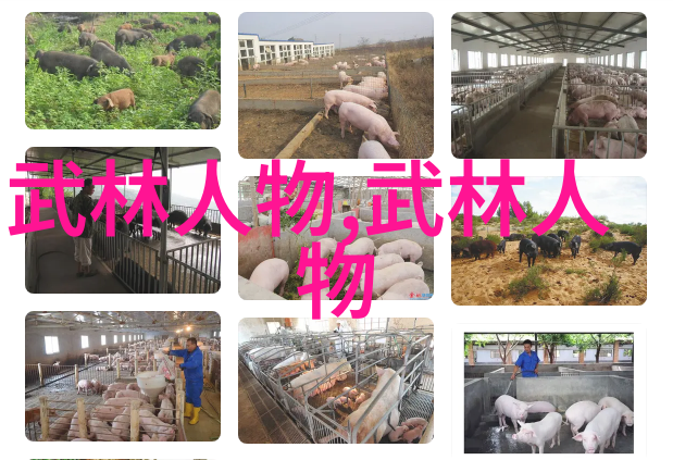 武术活动名称大全中的太极八劲犹如天地之中隐现的后天八卦由孙于拾所传