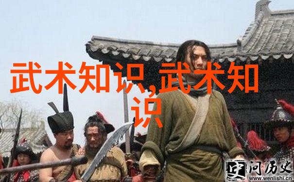 尊贵的剑法境界剖析剑术在武学中的地位与修为