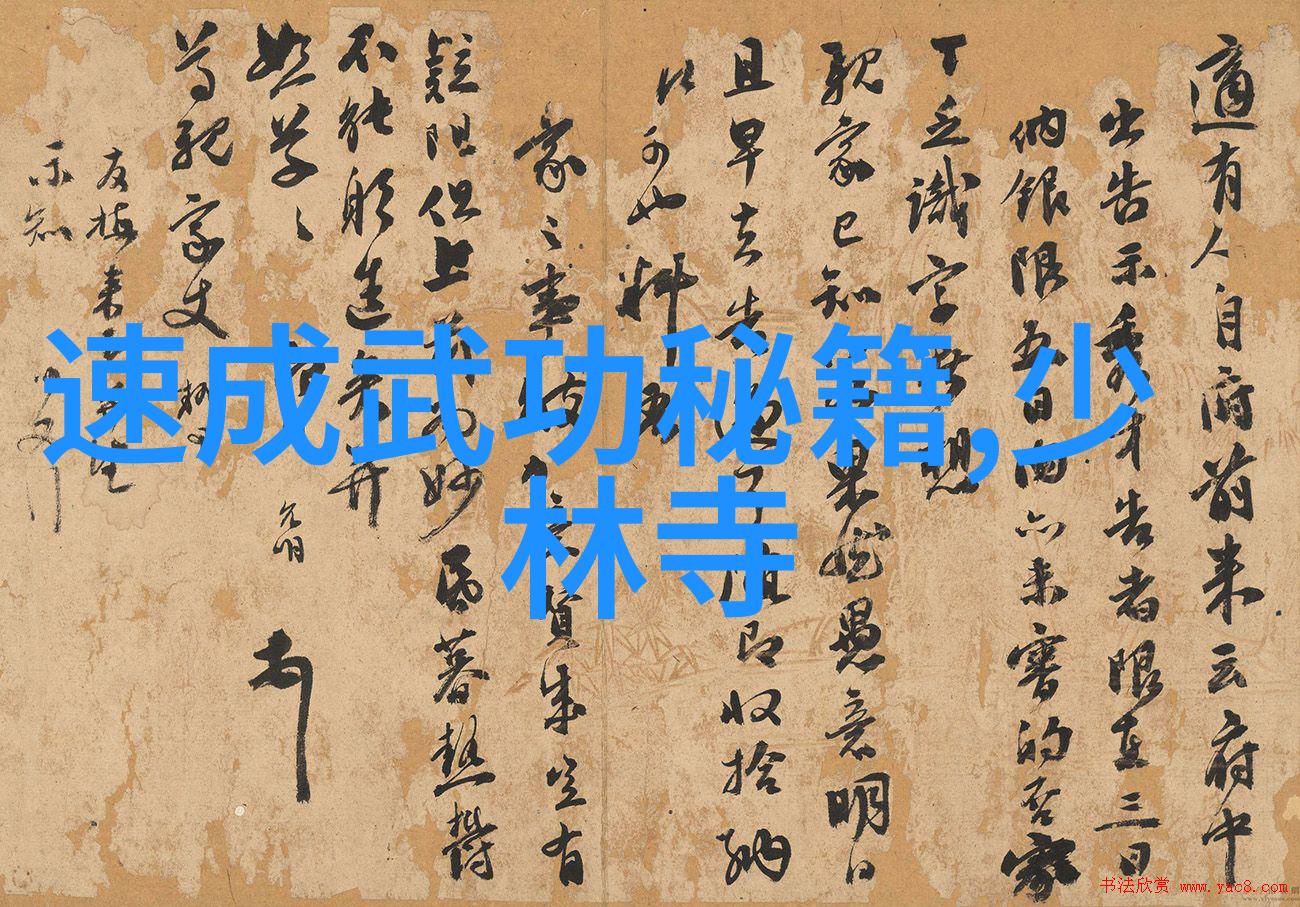 新手应该从哪些基本动作开始学习功夫基础技巧