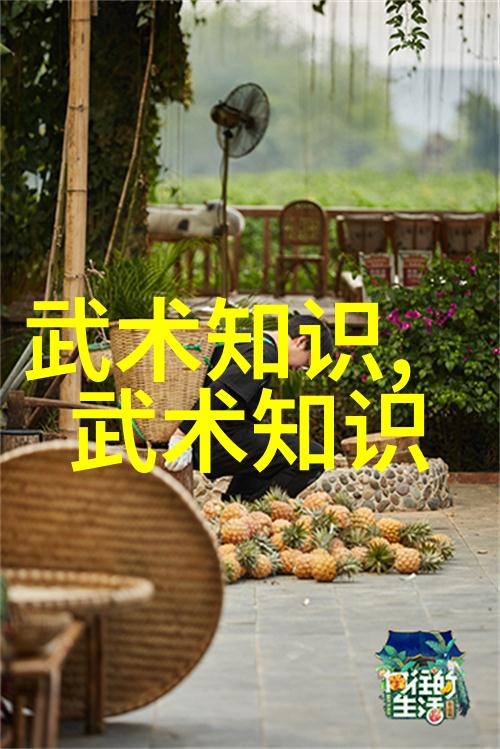武林至尊揭秘实战性最强的十大武术秘籍