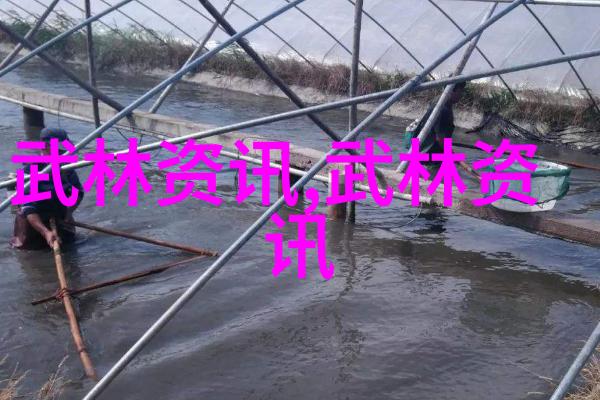 构建无敌形象分析那些最具攻击性的帮派名称