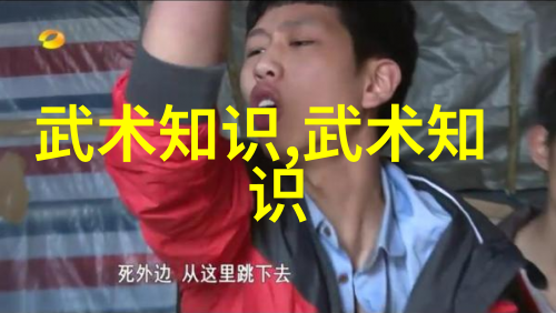 武术自学指南掌握基本招式理解武术精神
