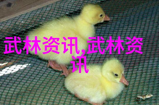 仙境幻想探秘游戏宗门的神秘篇章