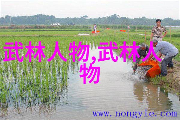 帮会名字选择指南古风篇章导航如何找到最适合你的称谓