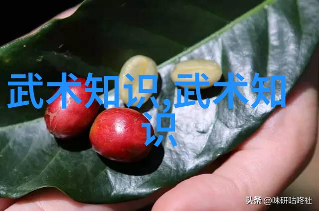 古风帮派之星辰联盟古风帮派的璀璨盟友