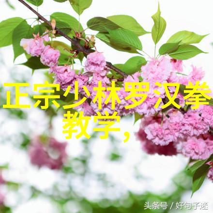 中国太极拳的灵魂之舞比喻叶式史中的太极拳24式名称顺序图解