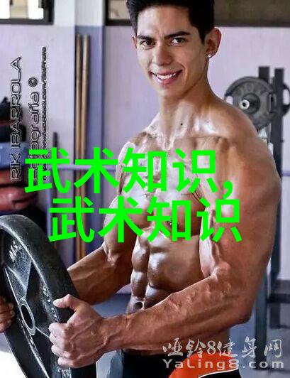 武术新手入门如何选择适合自己的练习方式