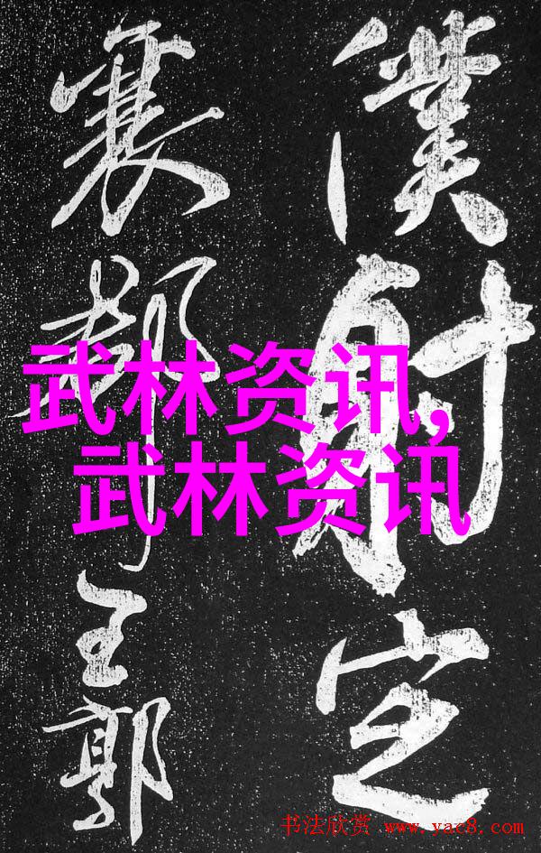 秘笈之谜解锁中国武术流派的神秘面纱