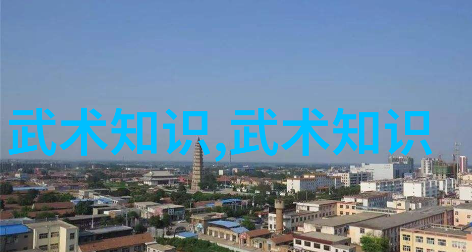 太极拳24式慢动作详解内外八卦阴阳交泰柔韧性练习