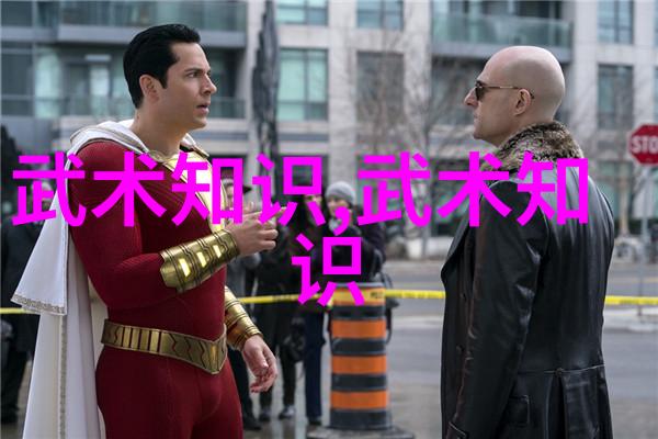 中国拳法之美揭秘武林百家门派的奥秘