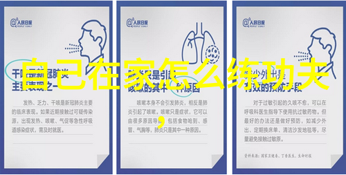 中国武术流派之旅探索中华传统的内家外家功夫
