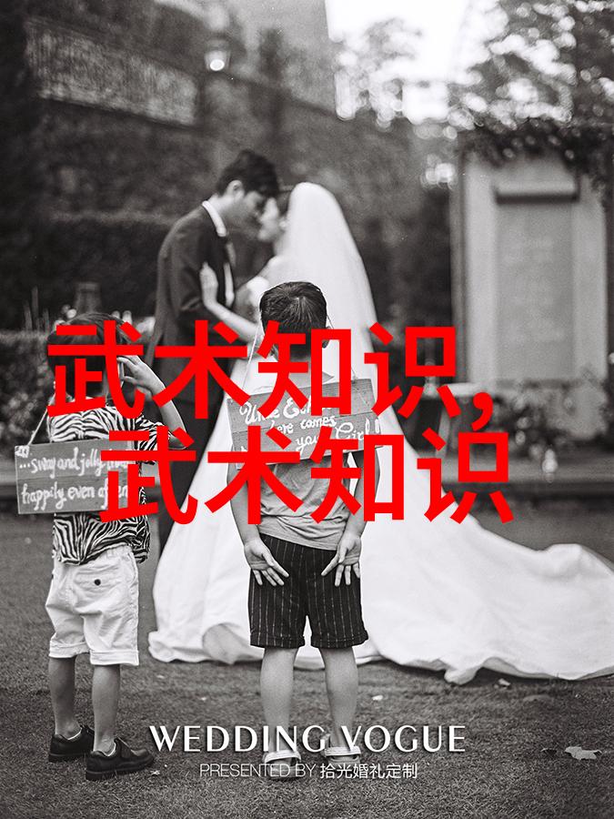 太极拳24式图解亲自学练的秘诀你也能掌握