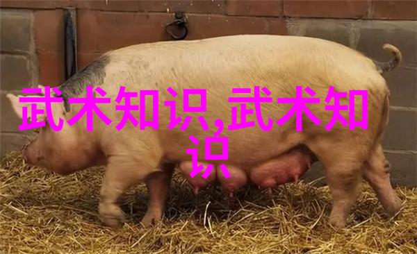 新疆风情免费探索未知的西域魅力