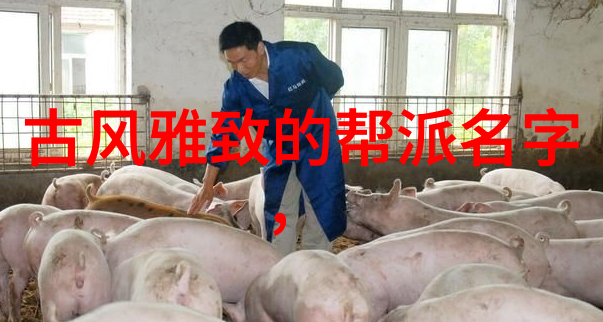 武术知识-探秘古老技艺武术知识的深度解读