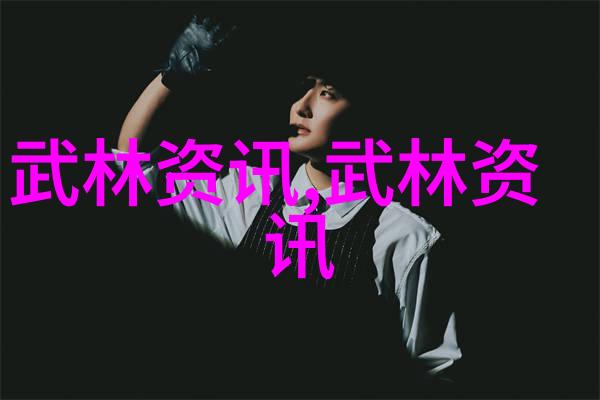 拳拳到肉探索中国内家外派武术之争