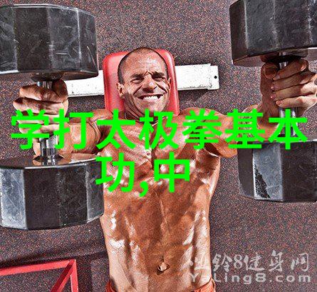 太极拳的精髓深入解析32式拳谱的每一个动作