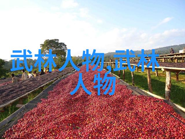太极拳猫形步秘籍揭秘武功实践中的宝藏技巧