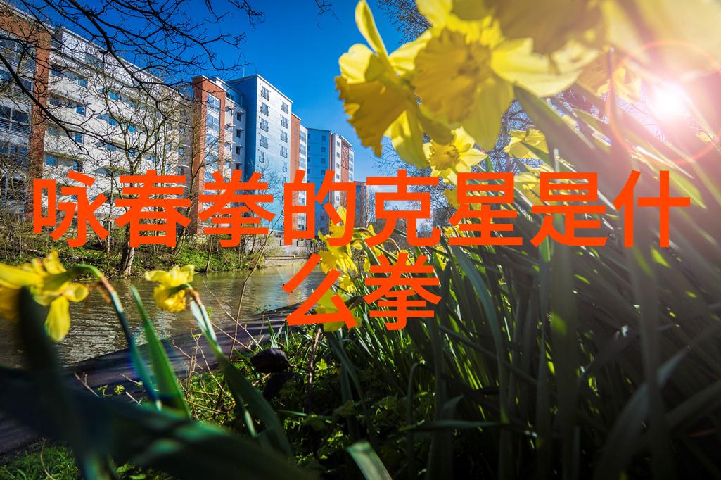 B站APP夜间使用禁用指南保障隐私安全的必备知识