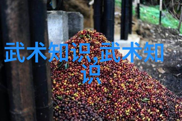 咏春拳法教你我如何在花园里挥拳打架