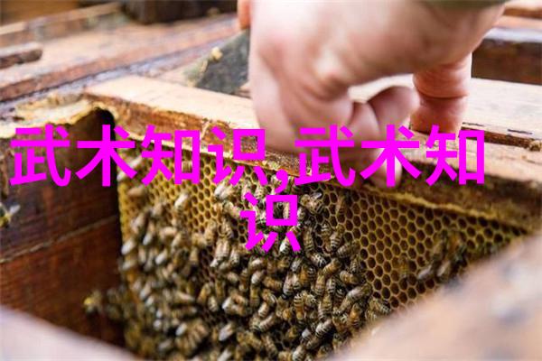 学武术的最佳年龄从小开始到青壮年