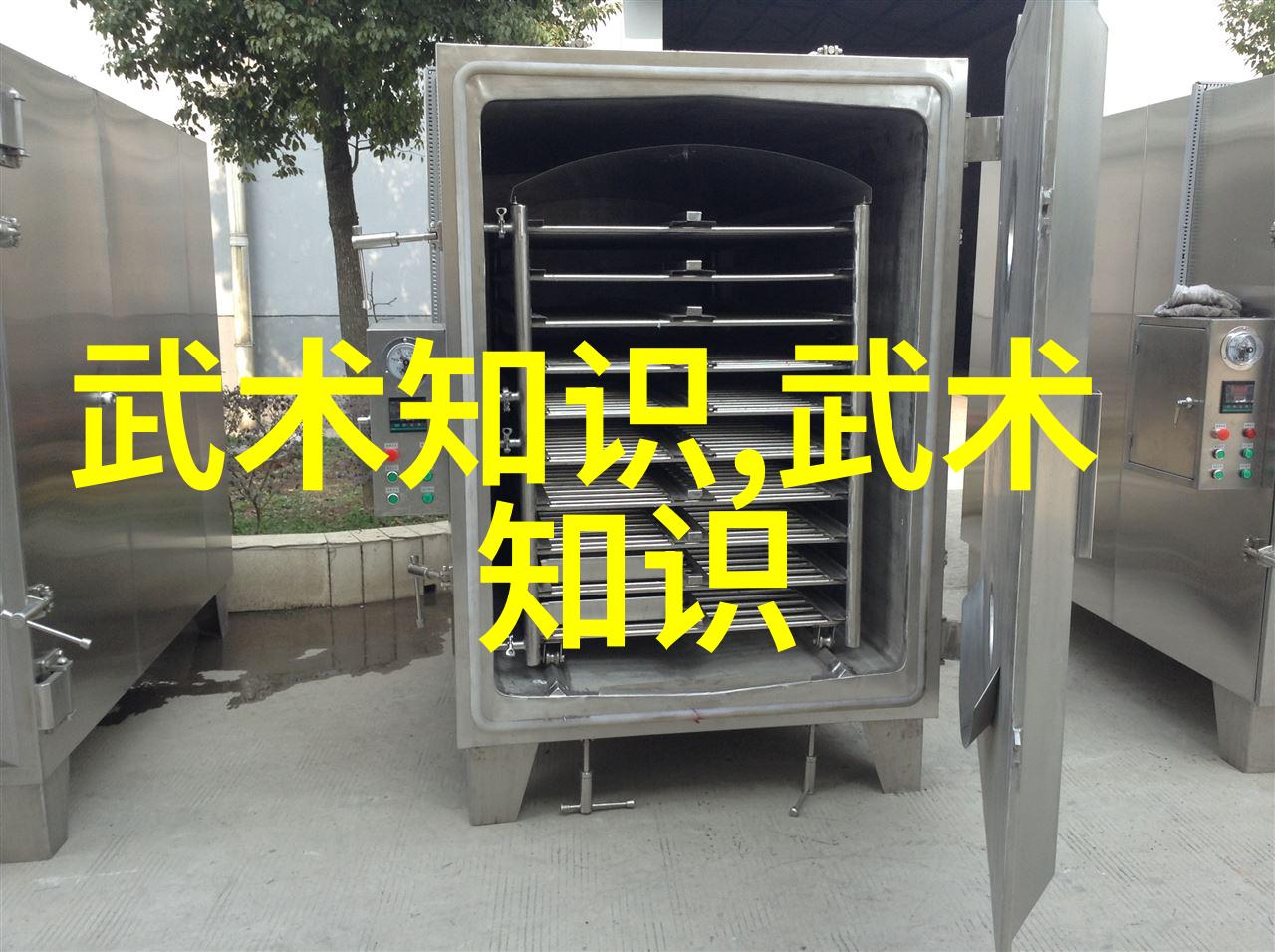 武林秘籍30路大师的古怪功法